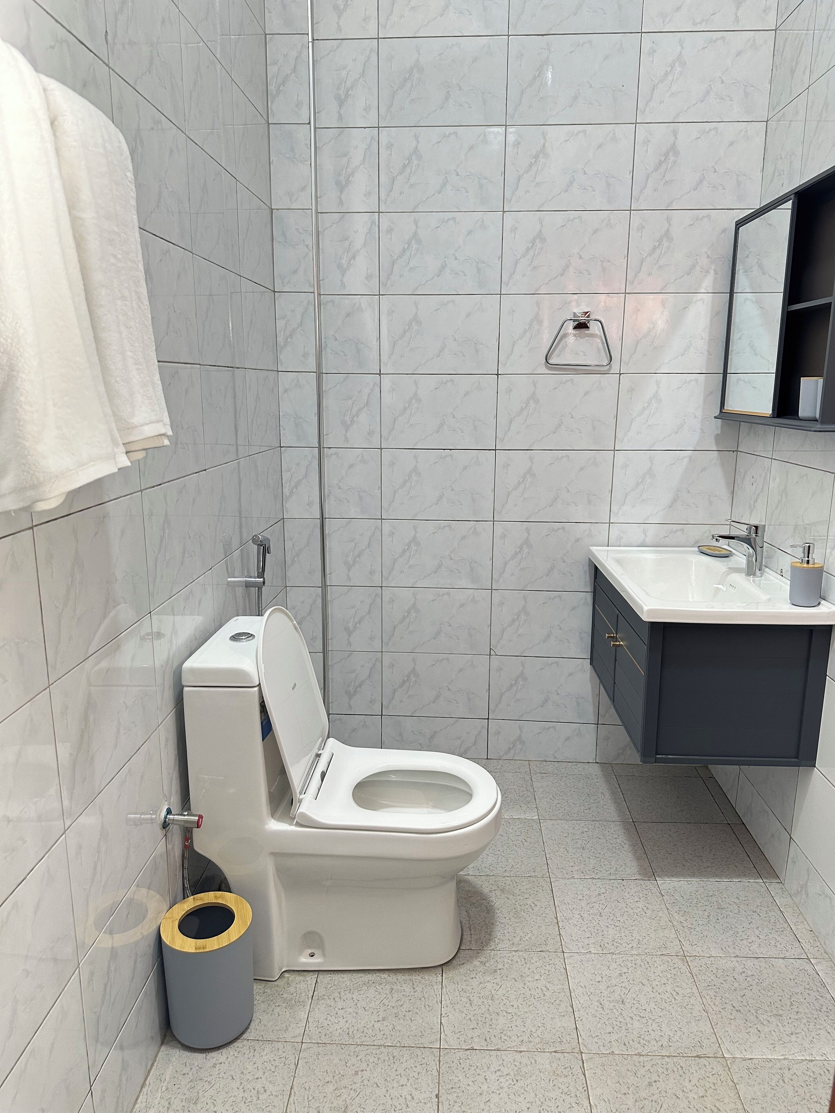 A modern bathroom with a toilet, sink, and mirror.