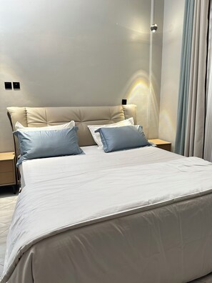 Luxury Apartment | 3 bedrooms, free WiFi