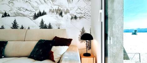 Smart TV, fireplace, books