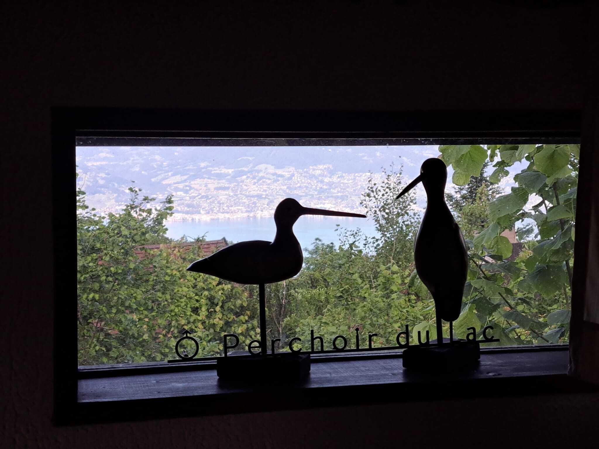 Deux silhouettes d’oiseaux sur un rebord de fenêtre, avec une vue sur le paysage urbain.