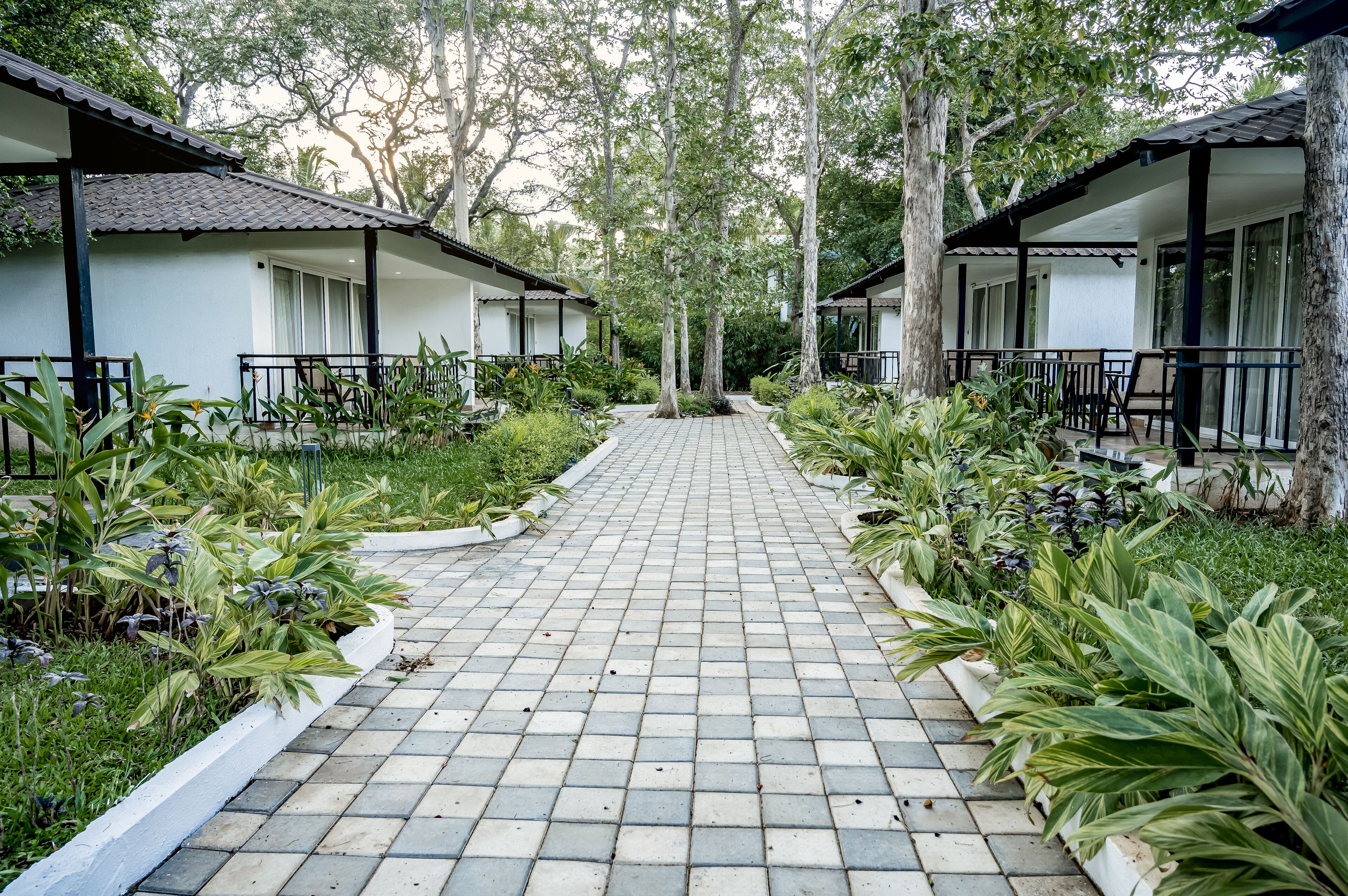 Cottage Room | Bed sheets