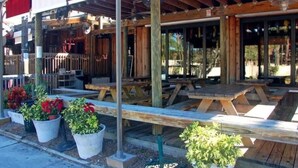 Patio esterno con tavoli e panche in legno, circondato da piante in vaso.