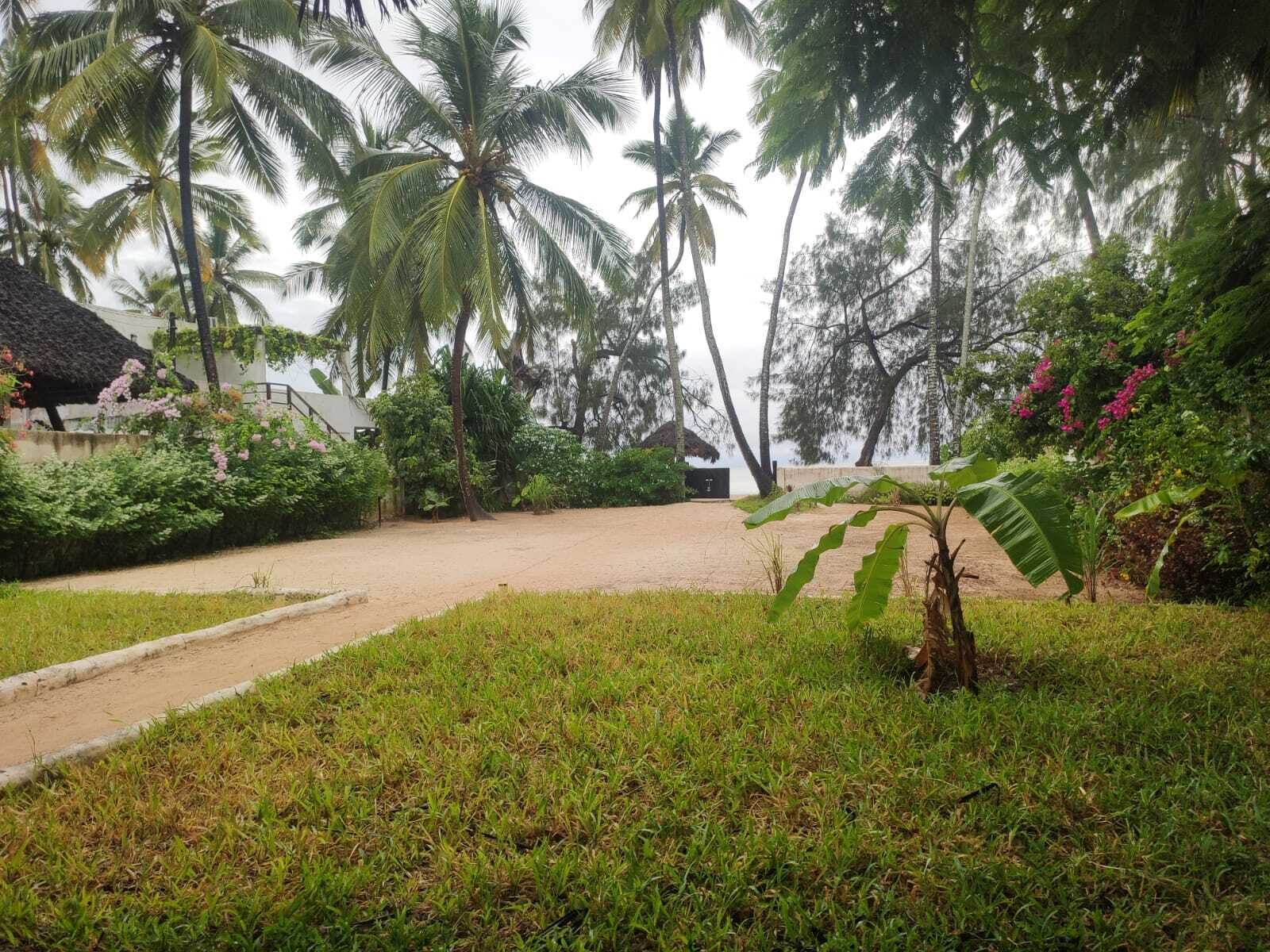 Un jardí tropical amb palmeres, una cabana amb teulada de palla i un camí de sorra.