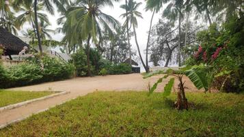 Un jardí tropical amb palmeres, una cabana amb teulada de palla i un camí de sorra.