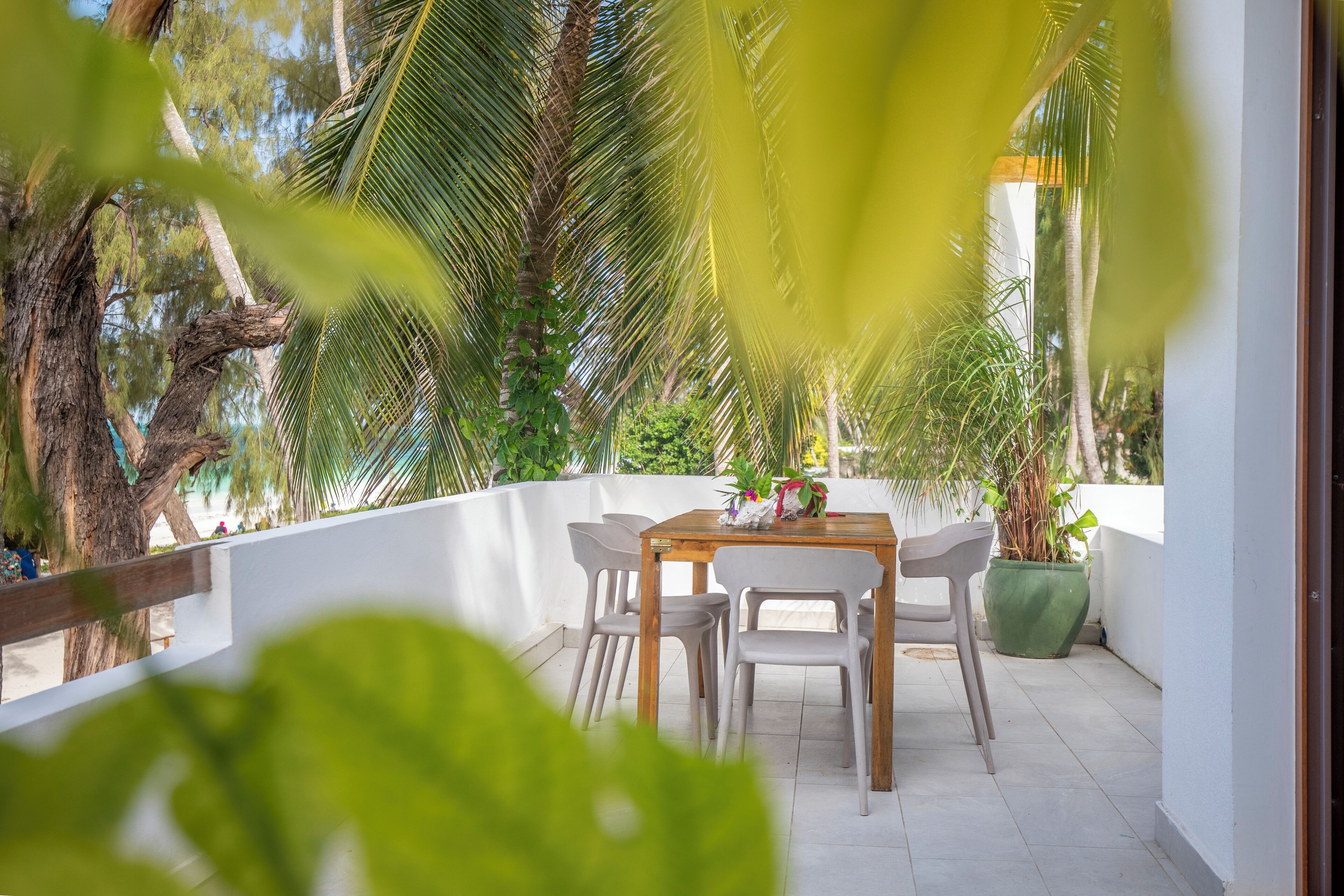 Une terrasse avec une table et des chaises, entourée de plantes en pot et de palmiers.