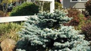 A sign for "The Seasons" hotel with a clear view of the building's exterior, including a two-story structure with a green and white striped awning. - Sandy Toes Retreat (Ogunquit)
