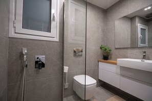 Hair dryer, towels, toilet paper