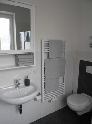 Regadera, secadora de cabello, jabón, papel de baño 