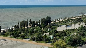 A coastal area with a beach, palm trees, and a park with pathways and benches.