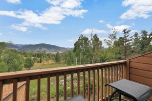 Property grounds - Cozy Mountain Retreat in Silverthorne! (Silverthorne)