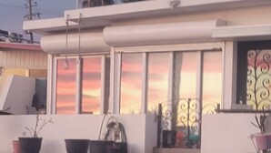 A building with large windows and a balcony with potted plants. - BEACHFRONT NEWLY BUILT 3 BD 2 BA SURFPOINT SWEEPING OCEAN VIEW HOME! SW SWELLS! (Ensenada)