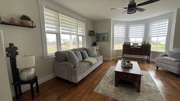 TV connectée, cheminée