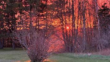 A natural landscape with trees and a grassy field.