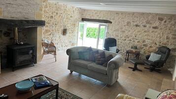 TV connectée, cheminée, lecteur de DVD, livres