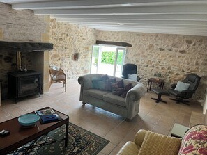 TV connectée, cheminée, lecteur de DVD, livres