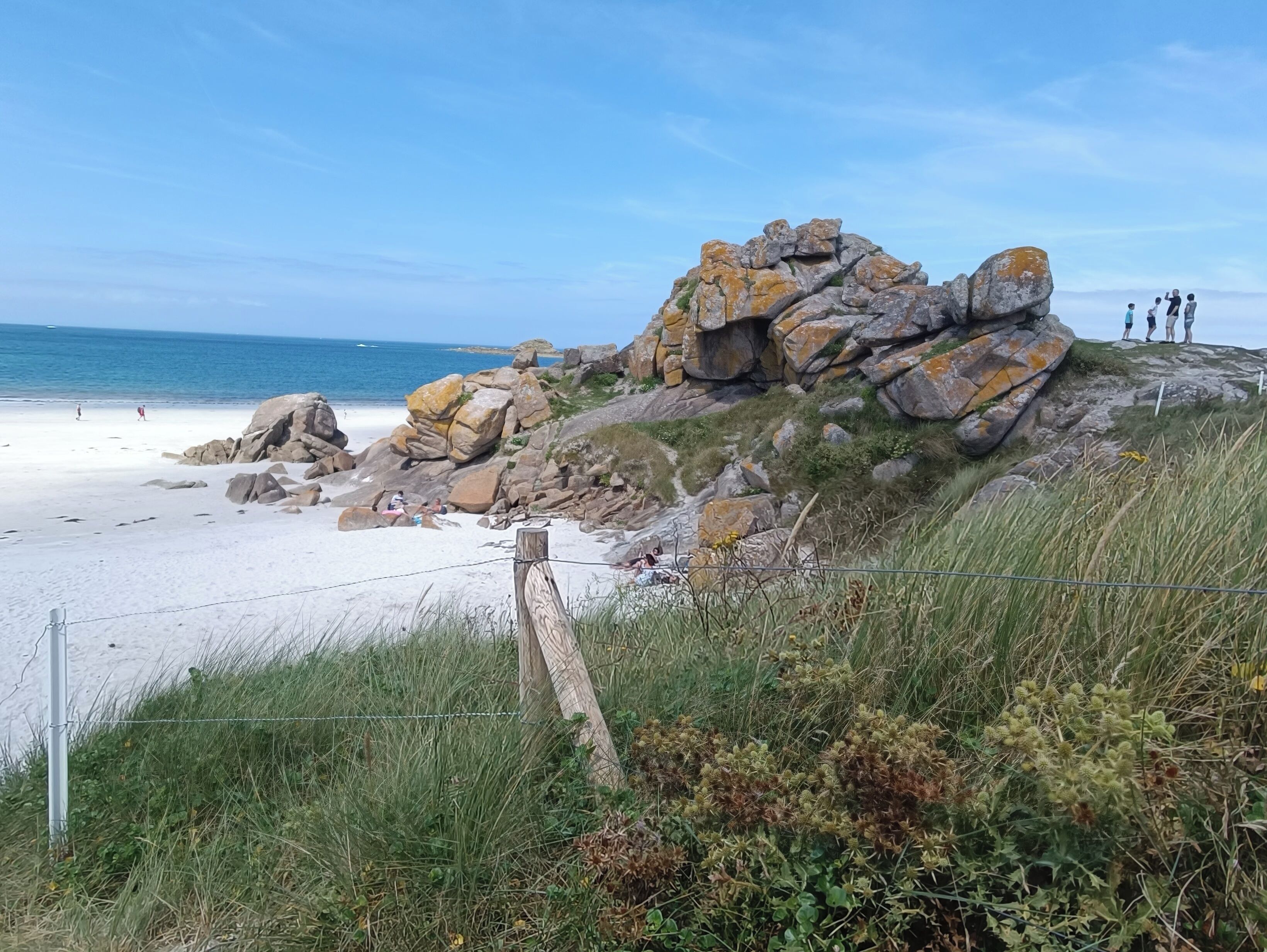 Ein Strand mit großen Felsen, sandigem Ufer und einer Rasenfläche mit Zaun.