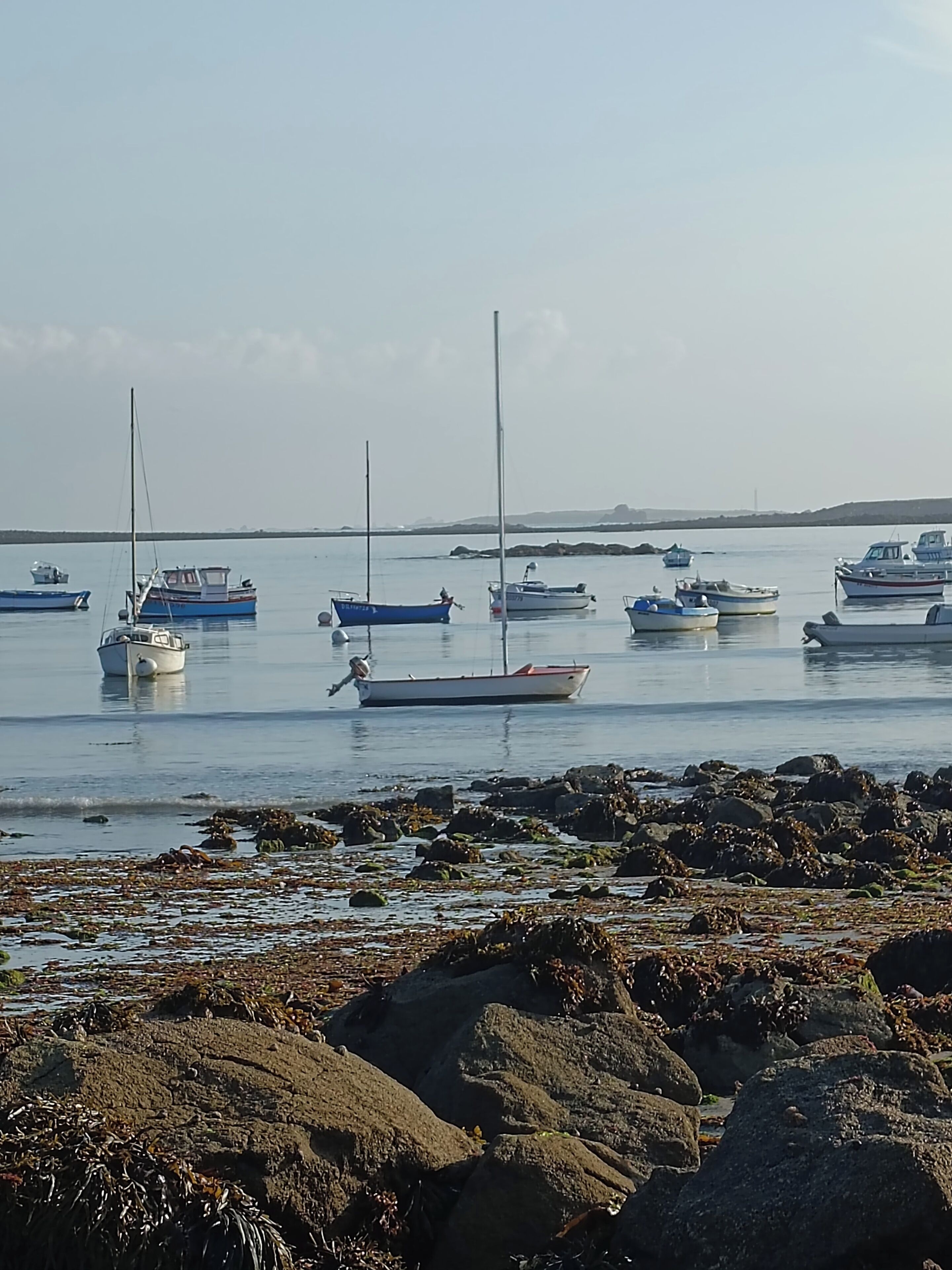A coastal scene with several boats anchored in calm waters, surrounded by rocky shores and seaweed.