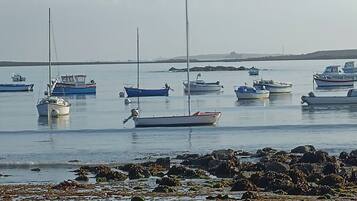 A coastal scene with several boats anchored in calm waters, surrounded by rocky shores and seaweed.