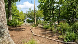 A garden with a wooden fence, various plants, and a house in the background.