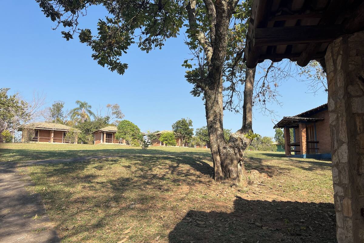 Um cenário rural com uma casa pequena e uma árvore grande em primeiro plano.