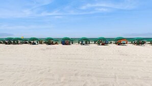 Una playa con hileras de sombrillas verdes y sillas reclinables.