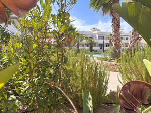A pool area with surrounding greenery and a building in the background.