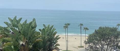 On the beach, sun-loungers, beach towels