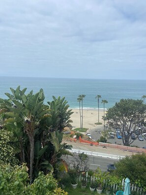 ビーチ、サンラウンジャー、ビーチタオル