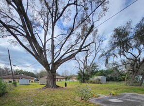 Zona residencial con un árbol grande, jardín césped y una casa con cobertizo.