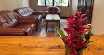 Olivia Guesthouse