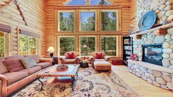 智能电视、壁炉、DVD 播放器、书