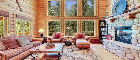 Smart TV, chimenea, reproductor de DVD y libros