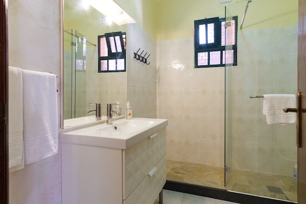 Shower, hair dryer, towels
