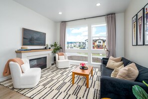 Smart TV, fireplace, books