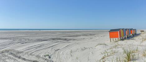 Appartement (1 Bedroom) | Intérieur