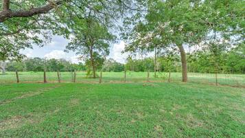 Maison (3 Bedrooms) | Intérieur