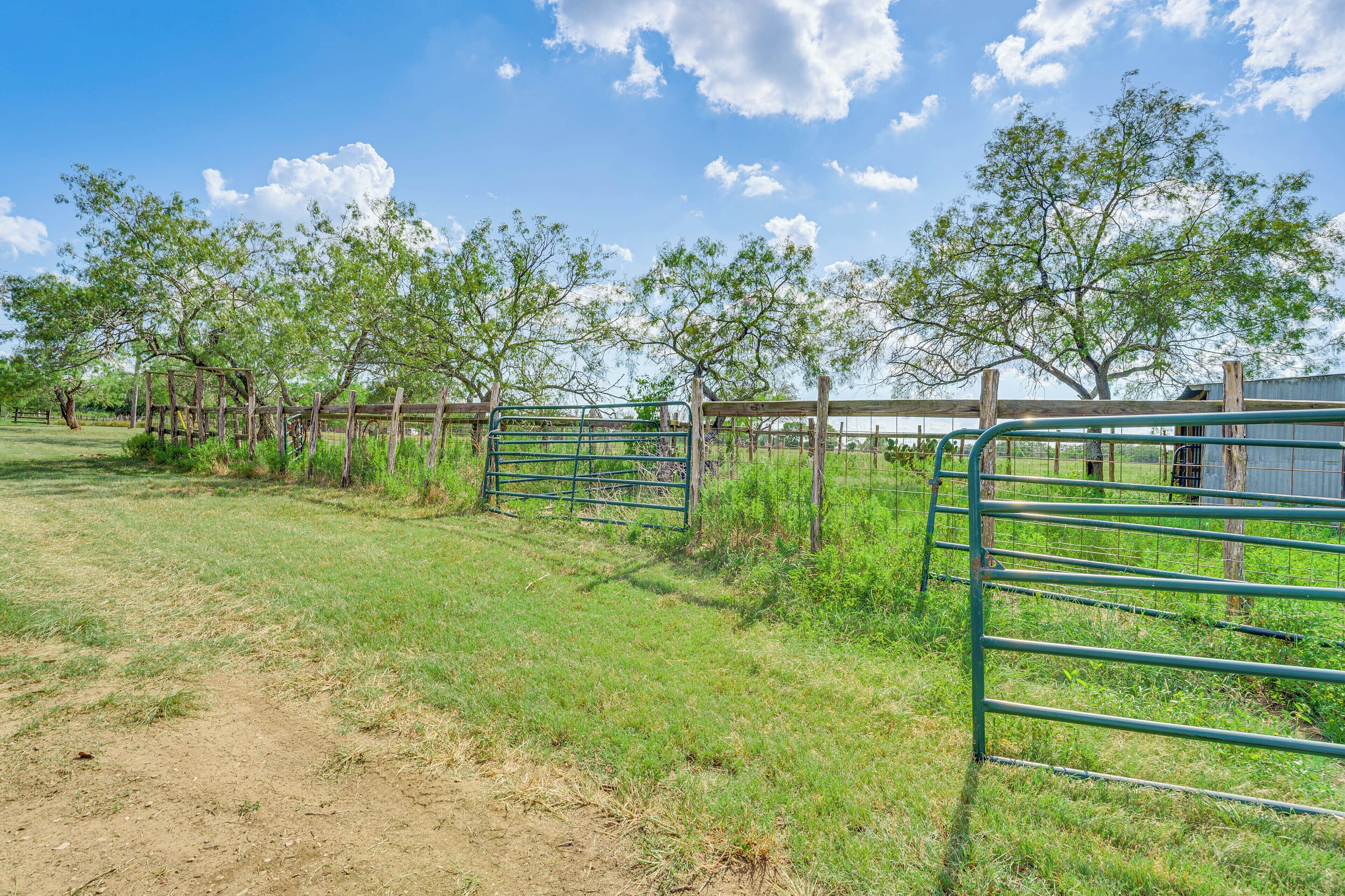 單棟房屋 (3 Bedrooms) | 內部
