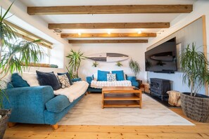 Fernseher, Kamin