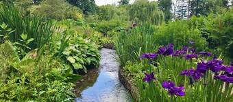 Heavenly hideaway - detached Couples retreat near to Langport, Somerset