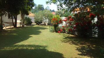 House | Property grounds