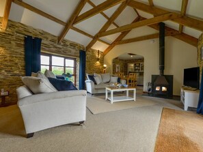 スマートテレビ、暖炉、DVD プレーヤー、書庫