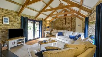 Smart TV, fireplace, DVD player, books