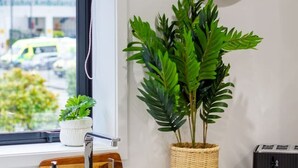 Una cucina con lavello in acciaio inossidabile, un pensile in legno, una pianta in vaso, una sveglia a parete e un tostapane.