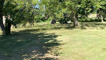 Un parque con árboles y césped.