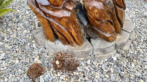A sculpture of a dolphin and a horse in a garden area with a wooden fence and greenery.