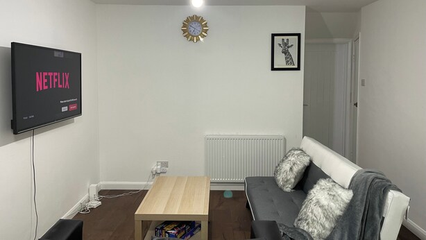 A living room with a flat-screen TV displaying 'NETFLIX', a wooden coffee table, a grey sofa with a fur throw, and a framed picture on the wall. - Stratford- (London)
