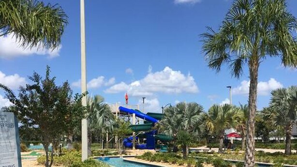 Una piscina con agua azul cristalina, rodeada de palmeras y un tobogán al fondo.
