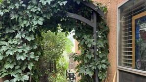 Un étroit sentier traverse un jardin, passant sous une arche recouverte de plantes grimpantes.