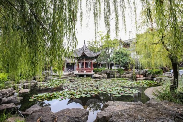 Jardines del alojamiento