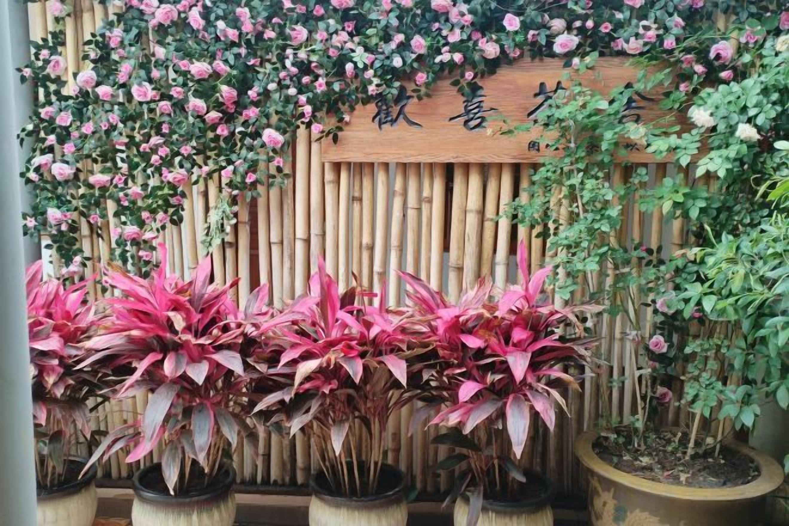 A row of potted plants with a bamboo fence and a wooden sign in the background.